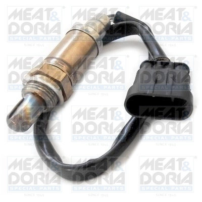 Oxygen Sensor